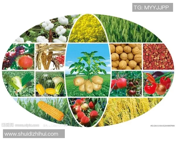 五谷丰登:探索五种传统农作物对农业生态与经济的深远影响